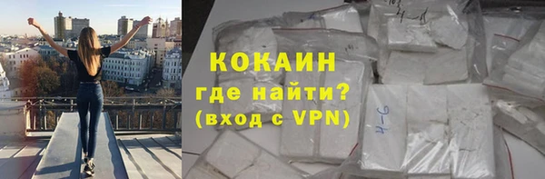 твердый Алексин