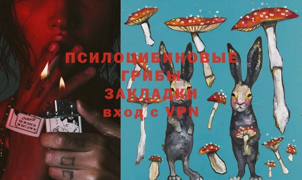 кокс Алзамай