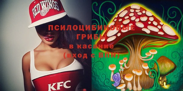 твердый Алексин