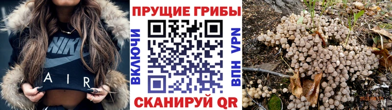 ссылка на мегу зеркало  Отрадная  Галлюциногенные грибы GOLDEN TEACHER  цены  